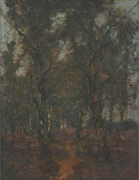 The Forest Glade Oil Painting by Theophile Emile Achille De Bock