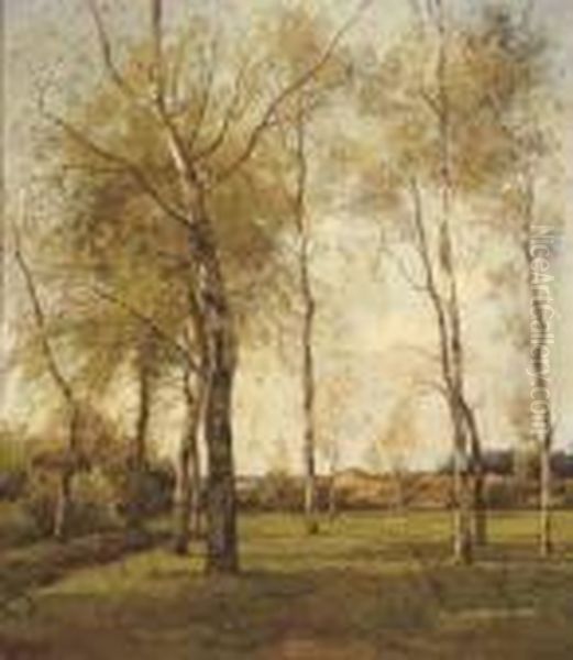 Schaapskooi - October: Birch Trees By The Dunes In Autumn Oil Painting by Theophile Emile Achille De Bock