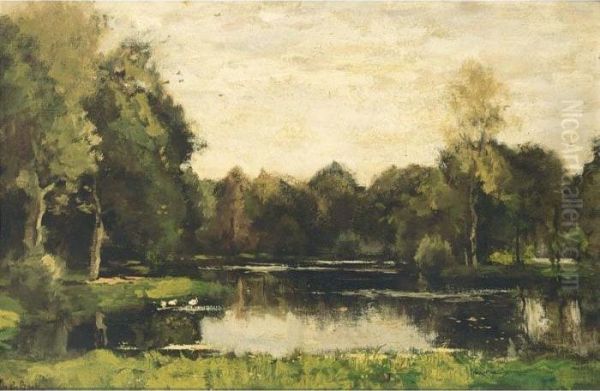 A Pond In A Wooded Landscape Oil Painting by Theophile Emile Achille De Bock