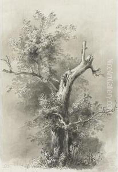 Tree Study And Man Leaning On A Stick Oil Painting by Jean-Jacques De Boissieu