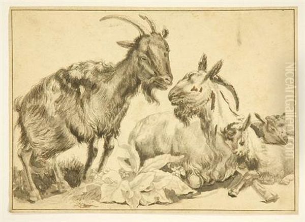 Study Of Goats Oil Painting by Jean-Jacques De Boissieu