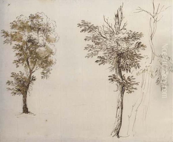 Etude De Trois Arbres Oil Painting by Jean-Jacques De Boissieu