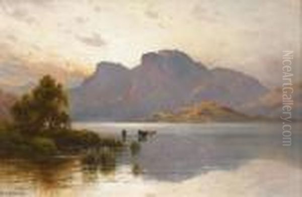 Cattle Watering In A Highland Loch Oil Painting by Alfred de Breanski