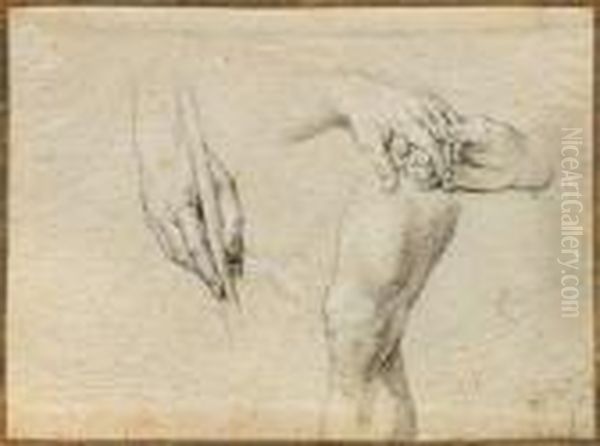 Hand And Leg Studies Oil Painting by Philippe de Champaigne