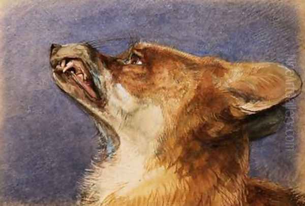 Head of a Fox Oil Painting by John Frederick Lewis