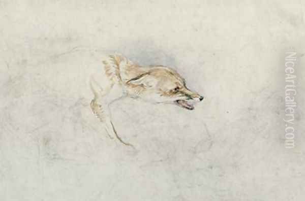 Study of a crouching Fox facing right verso faint sketch of foxs head and tail Oil Painting by John Frederick Lewis