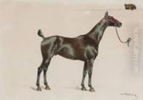 Cheval Au Licol Rouge Oil Painting by Charles Fernand de Condamy