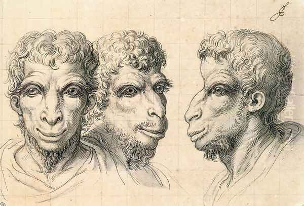 Physiognomic Heads Inspired by a Camel c. 1670 Oil Painting by Charles Le Brun