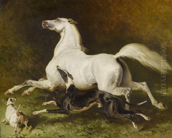 White Horse Galloping With Two Dogs Oil Painting by Alfred De Dreux