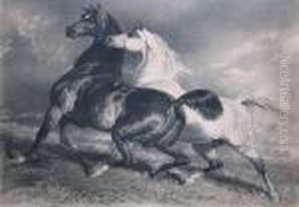 Chevaux En Liberte Oil Painting by Alfred De Dreux