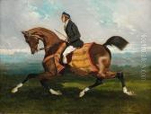 Cavalier Sur Sa Monture Oil Painting by Alfred De Dreux