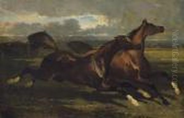 Etalons Au Galop: Galloping Stallions Oil Painting by Alfred De Dreux