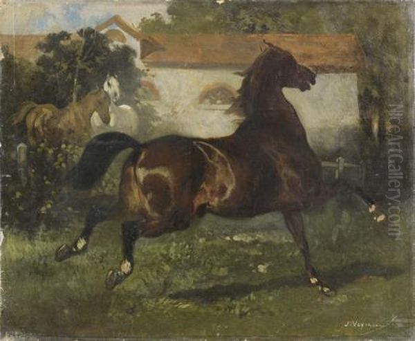 Etude De Cheval Au Galop
Toile Oil Painting by Alfred De Dreux