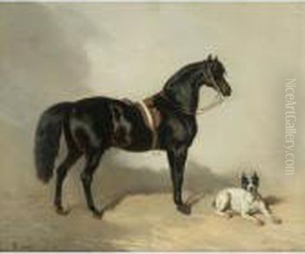 Un Cheval Arabe Et Bulldogue Oil Painting by Alfred De Dreux