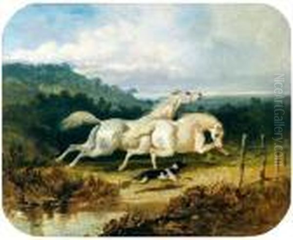 Deux Etalons Gris Et Un Chien Galopant Dans La Campagne Oil Painting by Alfred De Dreux