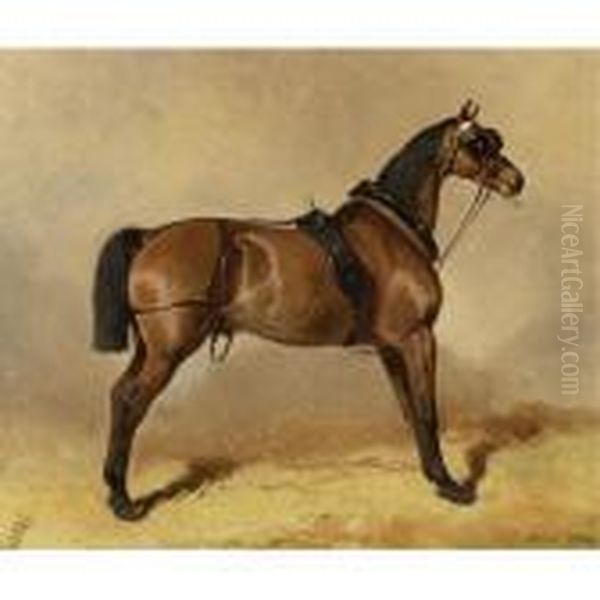 Cheval De Trait Oil Painting by Alfred De Dreux