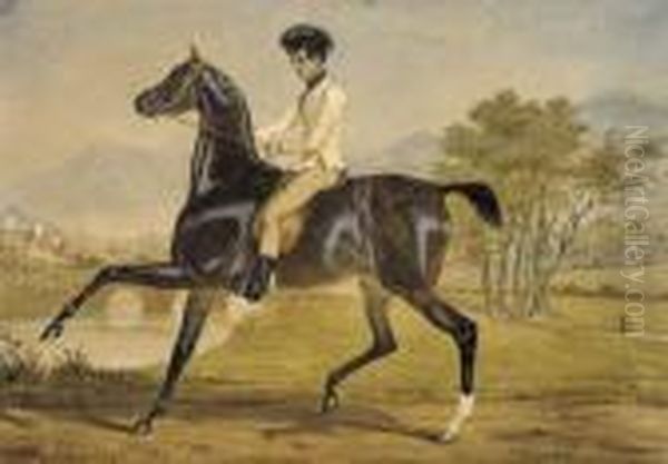 A Gentleman On Horseback Oil Painting by Alfred De Dreux