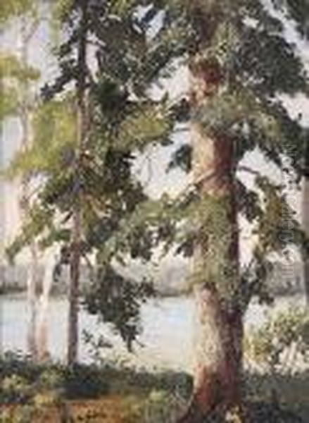 Trees Oil Painting by Wilfred Gabriel De Glehn