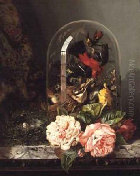 Still Life with Humming Bird in a Glass Dome Oil Painting by Edward Ladell