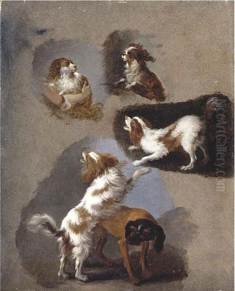 A Study Of Five Spaniels Oil Painting by Adriaen de Gryef