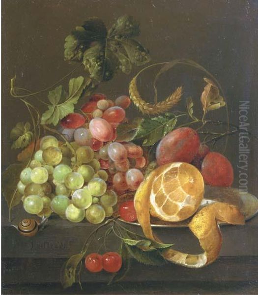 A Partly Peeled Orange On A 
Pewter Platter With Grapes, Plums,cherries And A Snail, On A Stone Ledge Oil Painting by Jan Davidsz De Heem