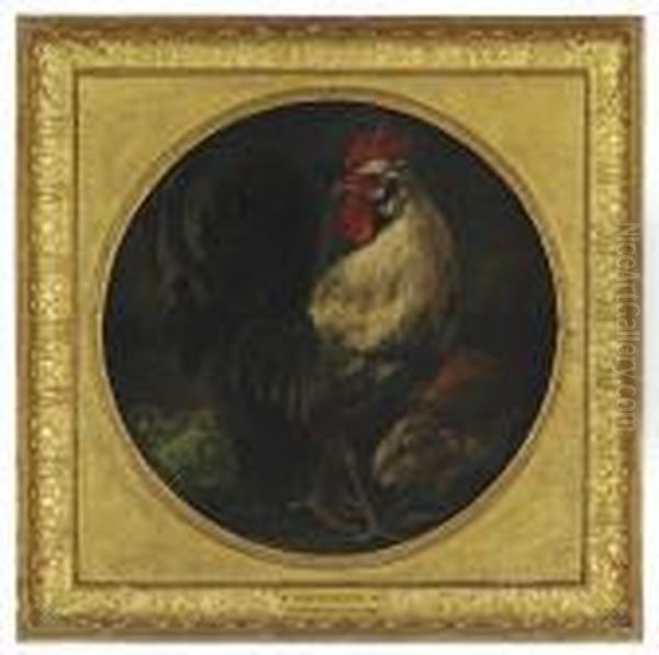 A Cockerel And A Guinea Pig Oil Painting by Melchior de Hondecoeter