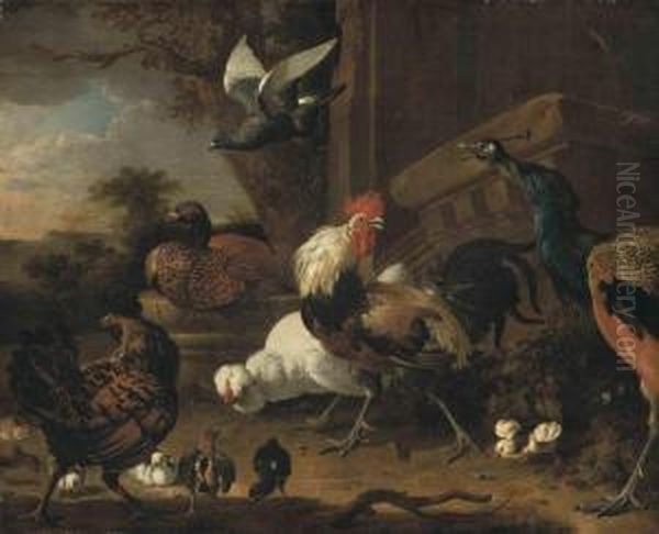 A Cockerel, A Peacock, Hens, Chicks And A Pigeon By A Wall, In Apark Landscape Oil Painting by Melchior de Hondecoeter