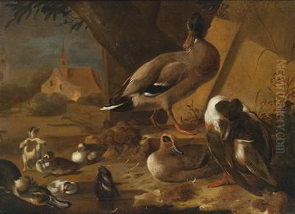 Ducks Near A Pool Oil Painting by Melchior de Hondecoeter