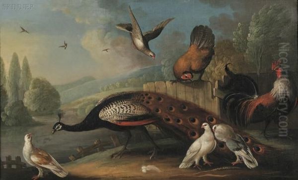 Still Life With Peacock And Fowl Oil Painting by Melchior de Hondecoeter