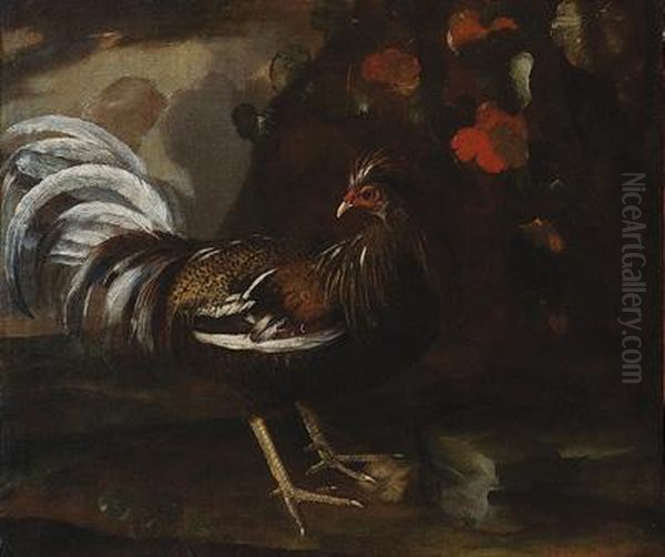 Gallo Oil Painting by Melchior de Hondecoeter