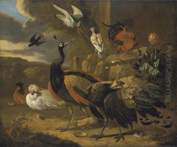 Peacocks, A Rooster, Pigeons, A Swallow, And Other Birds, In Alandscape Oil Painting by Melchior de Hondecoeter