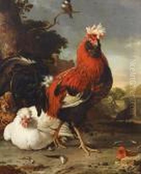 A Cockerel And Other Decorative Fowl In Alandscape Oil Painting by Melchior de Hondecoeter