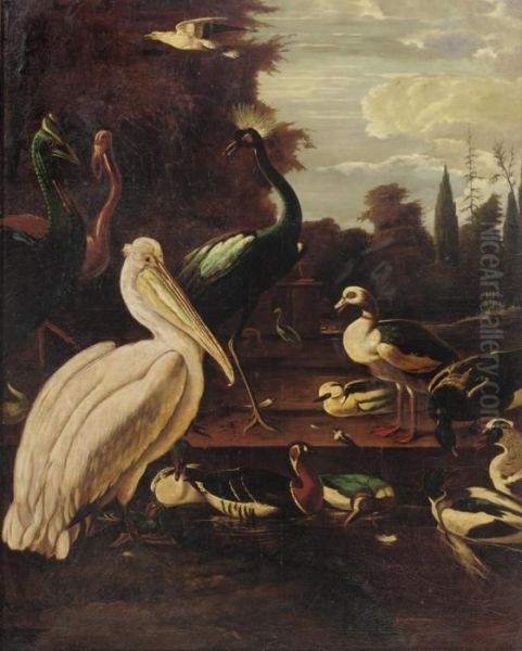 A Pelican, Peacocks And Ducks In An Italianate Landscape Oil Painting by Melchior de Hondecoeter