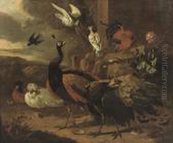 Peacocks, A Rooster, Pigeons And Other Birds Near A Ruinous Wall In A Rocky Landscape Oil Painting by Melchior de Hondecoeter