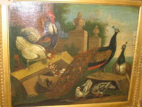 Peacock And Other Fowl In A Garden Oil Painting by Melchior de Hondecoeter