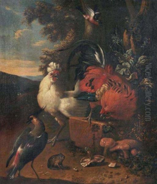 In The Yard Oil Painting by Melchior de Hondecoeter