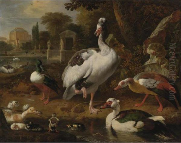 A Shoveler, A Grey And White 
Crested Goose, An Egyptian Goose, A Muscovy Duck And Other Waterfowl In A
 Park Oil Painting by Melchior de Hondecoeter