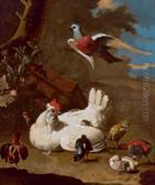 Gallina Con I Pulcini E Colombo In Volo Oil Painting by Melchior de Hondecoeter