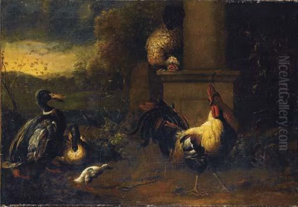 Poules Et Canards Dans Un Parc Oil Painting by Melchior de Hondecoeter