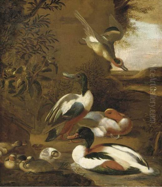 Ducks And Ducklings In A Hilly Landscape Oil Painting by Melchior de Hondecoeter