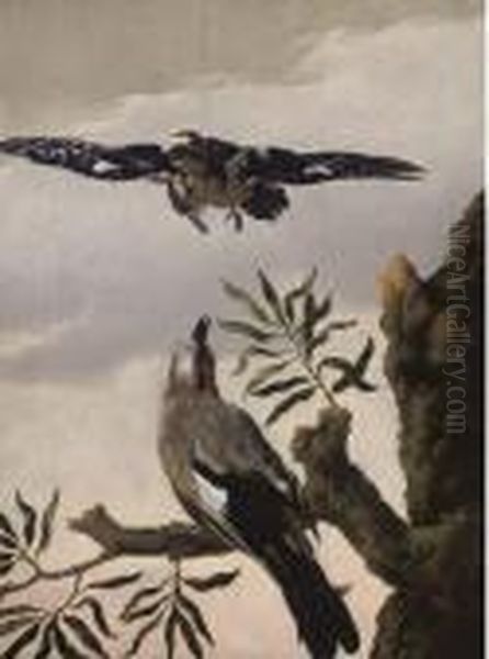 A Jay Perched On A Tree Stump And A Lapwing Flying Above Oil Painting by Melchior de Hondecoeter