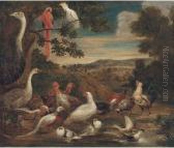 An Ostrich, Parrots, Turkeys, Woodcock, A Pheasant And Other Birdsin A Landscape Oil Painting by Melchior de Hondecoeter