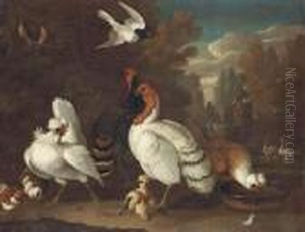 Fowl And Other Birds In A Formal Garden Oil Painting by Melchior de Hondecoeter