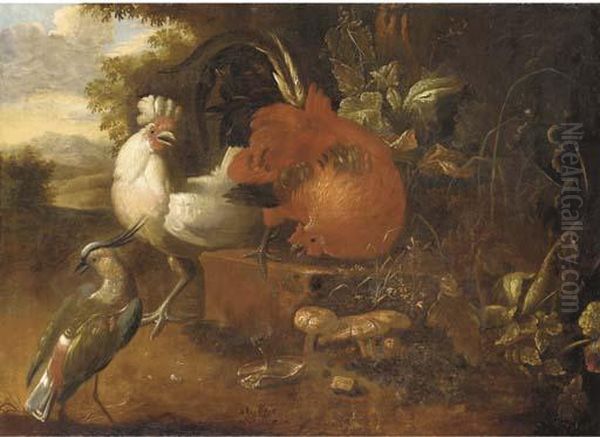 Cockerels On A Stone Block With A Lapwing In A Woodedlandscape Oil Painting by Melchior de Hondecoeter