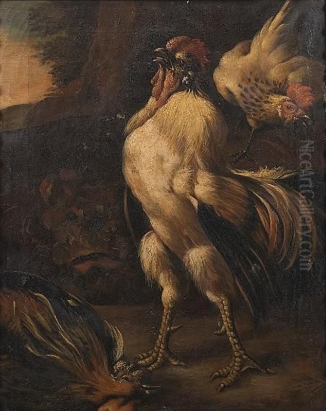 Two Cockerels Fighting In A 
Landscape; And A Cockerel Victorious Over Another Cockerel With A Hen In
 A Landscape Oil Painting by Melchior de Hondecoeter