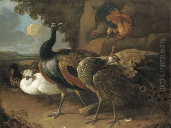 A Peacock, A Peahen, Poultry And Other Birds In A Rocky Landscape Oil Painting by Melchior de Hondecoeter