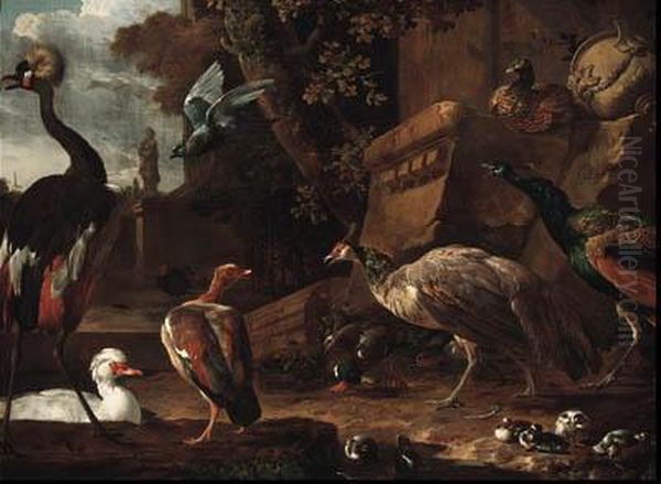 An East African Crane, A White 
Snow Goose, A Dutch Goose, A Mallardduck And Hen With Their Duckling, A 
Peahen, A Peacock, A Pheasant,a Turkey And A Pigeon In A Park Oil Painting by Melchior de Hondecoeter