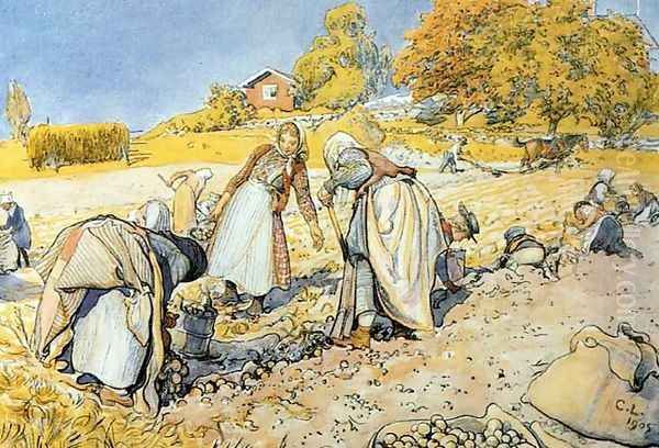 Potato Harvest Oil Painting by Carl Larsson