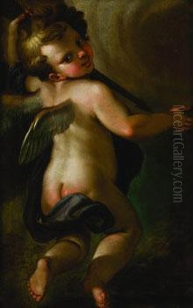 Cupido Oil Painting by Paolo di Matteis