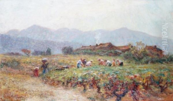 Les Vendanges A Ceyreste Pres De Laciotat Oil Painting by Francois Richard De Montholon